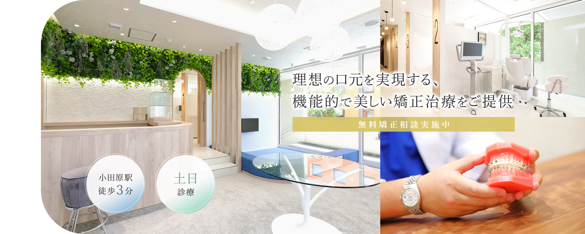理想の口元を実現する、機能的で美しい矯正治療をご提供。無料矯正相談実施中。小田原駅前矯正歯科は、小田原駅徒歩3分、土日診療